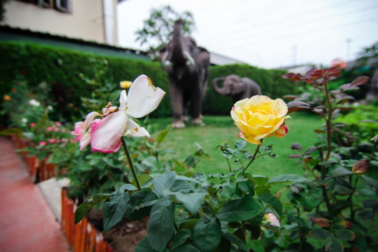โรงแรมแหลมดิน เชียงใหม่ ภายนอก รูปภาพ